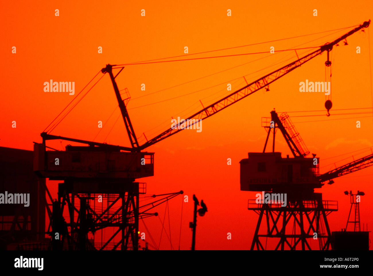 Ship loading cranes at sunset Stock Photo - Alamy
