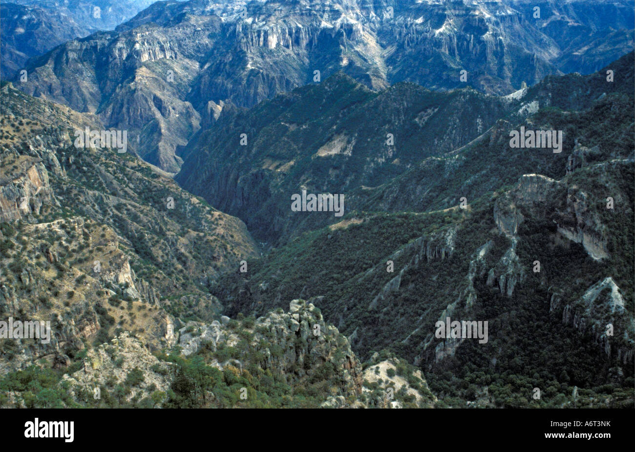 Detail of The Copper Canyon, Mexico Stock Photo Alamy