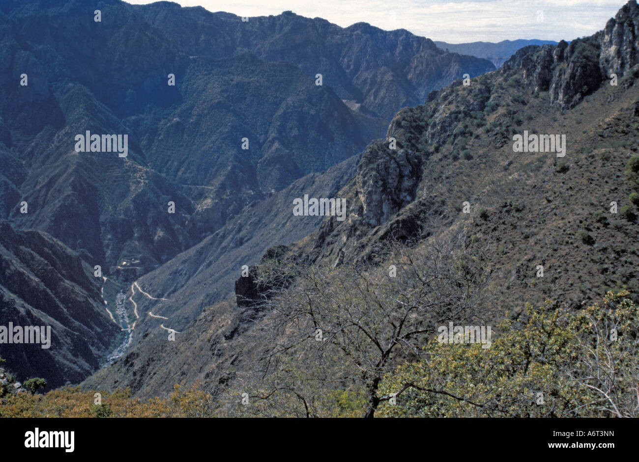 Detail of The Copper Canyon, Mexico Stock Photo Alamy