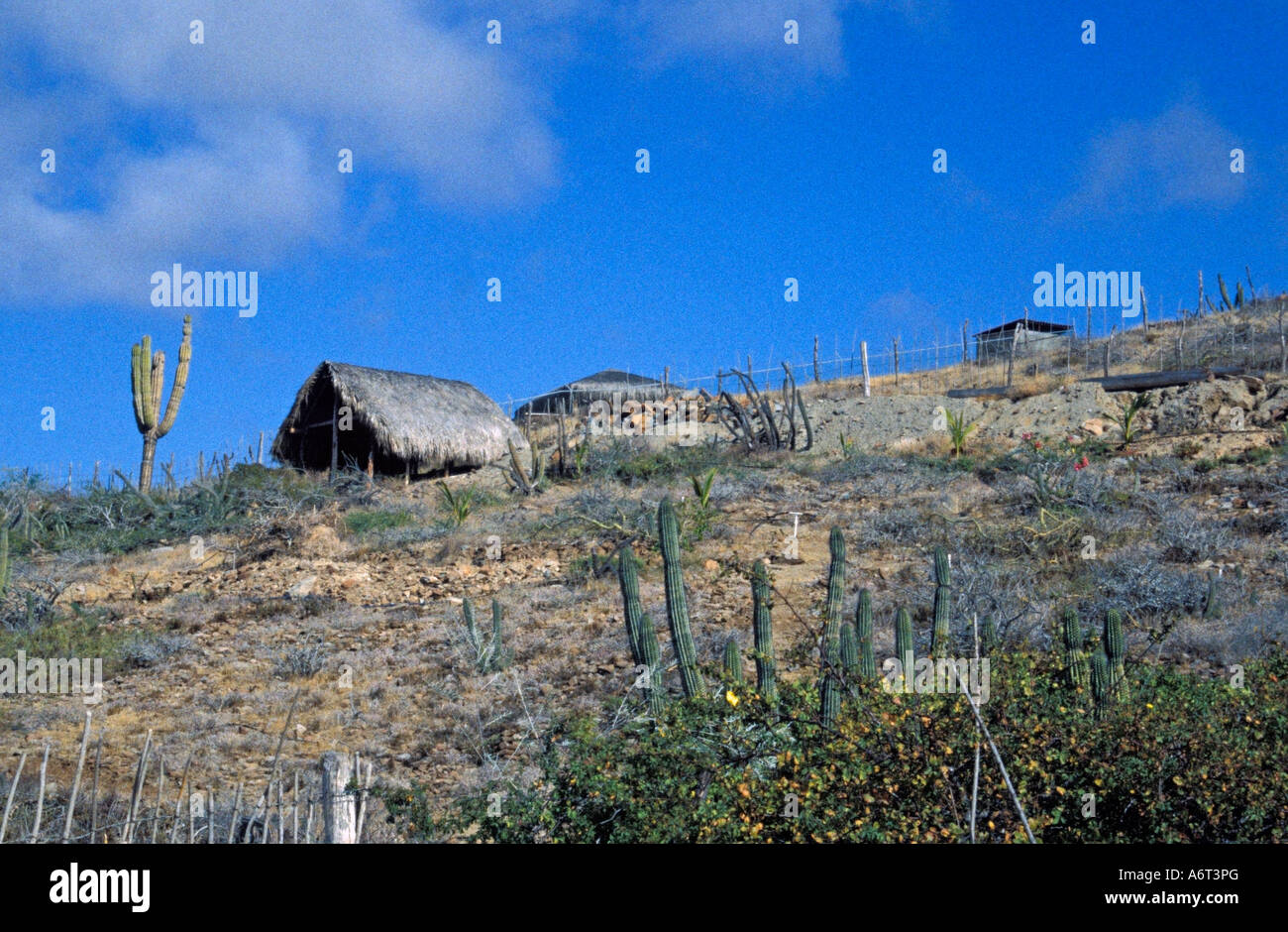 Tranqil landscape hi-res stock photography and images - Alamy