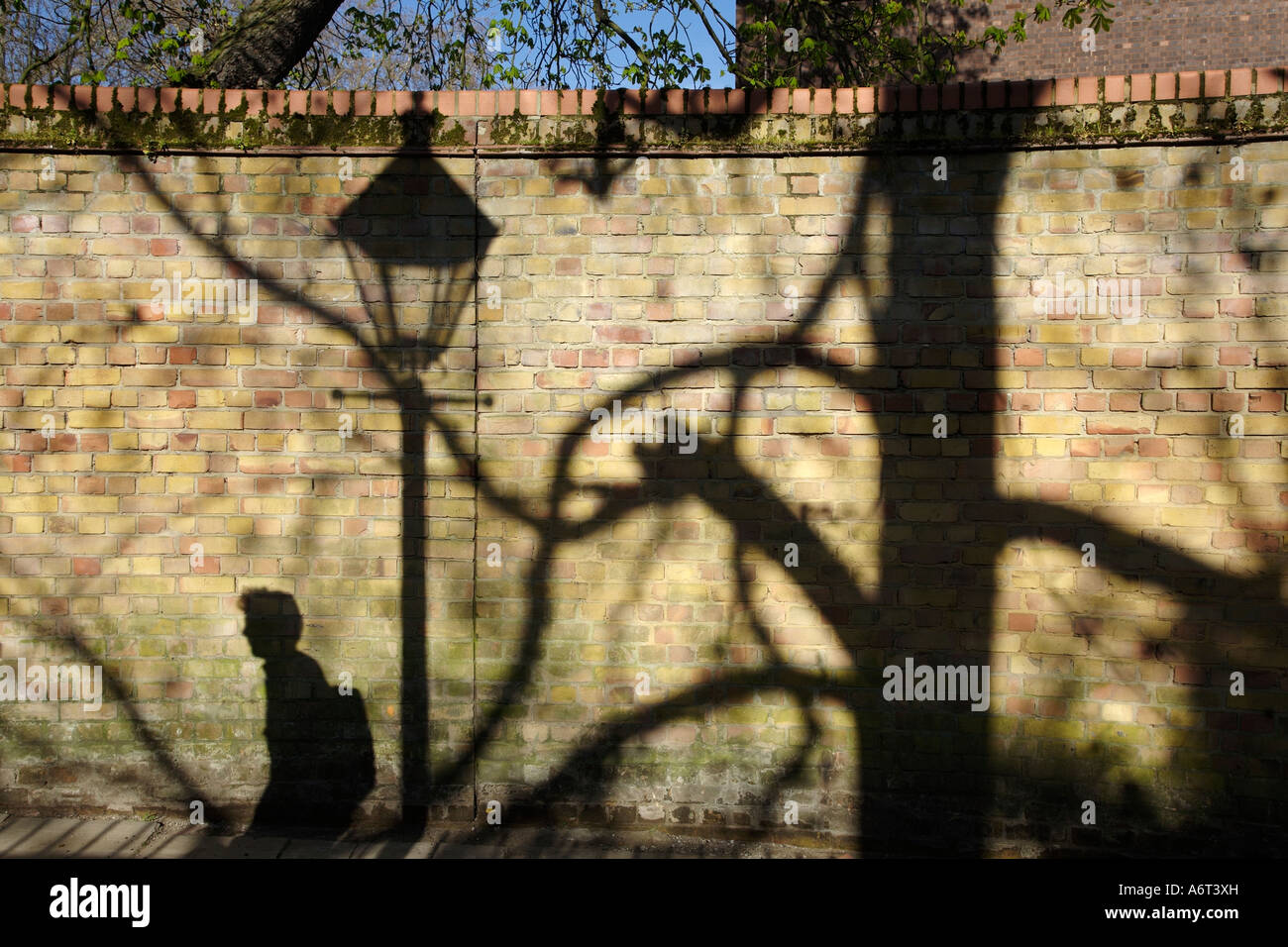 Shadows on brick wall. Holland Walk, Holland Park, Kensington and Chelsea, London, England, UK Stock Photo