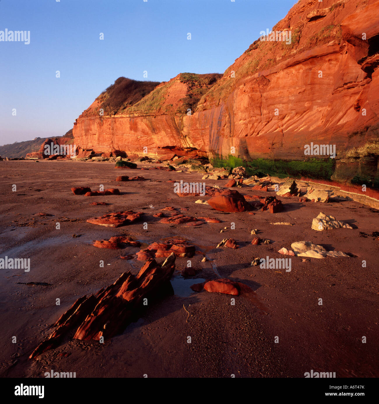 Evening sun on red cliffs near Exmouth, Devon, UK Stock Photo