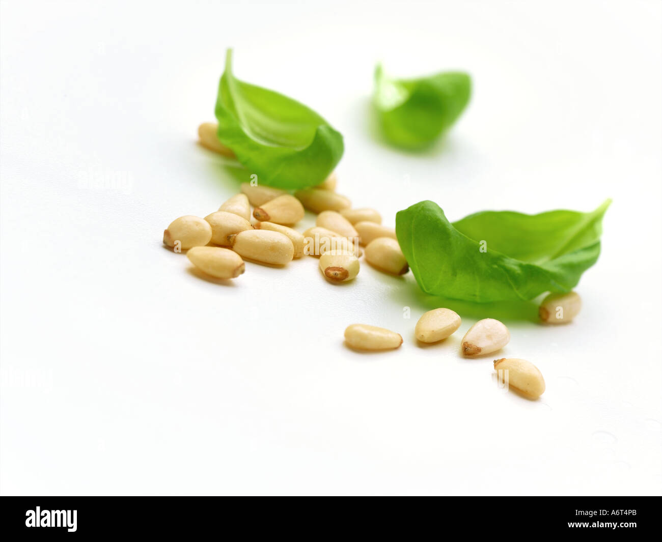 pine nuts and basil leaves Stock Photo