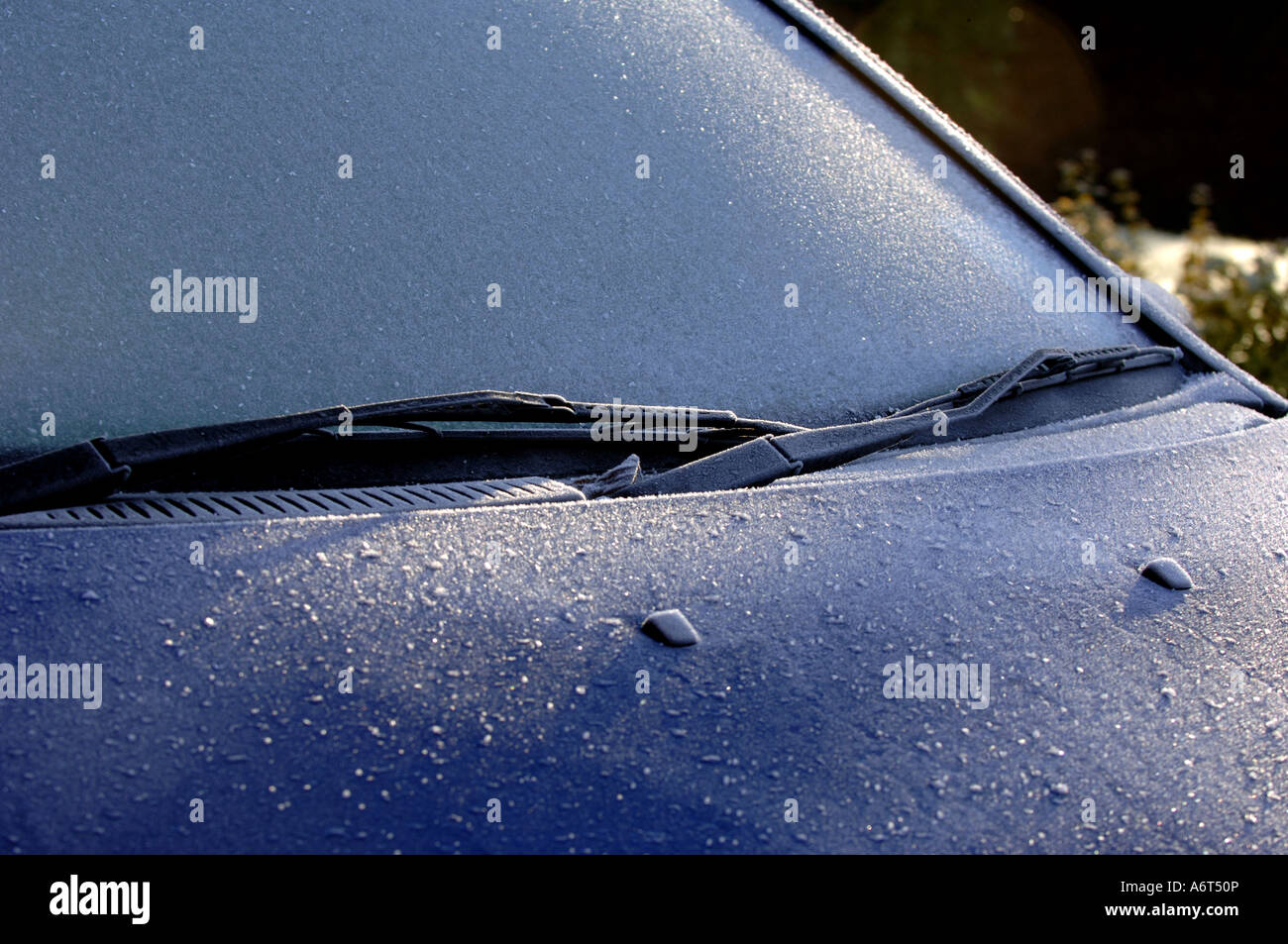 Frozen car windscreen in Shropshire UK Stock Photo