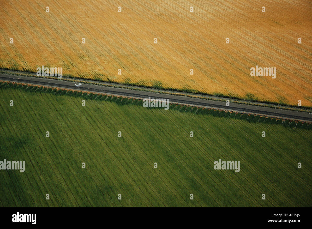 Aerial view of irrigation fields Emerald Central Queensland Australia