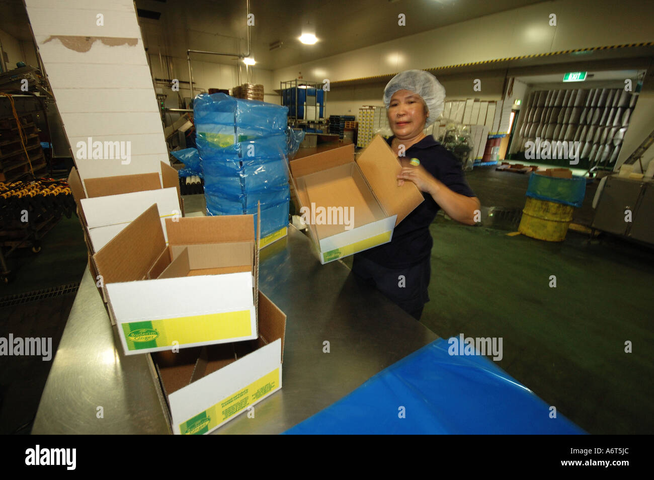 Woman lifting cardboard box hi-res stock photography and images - Alamy