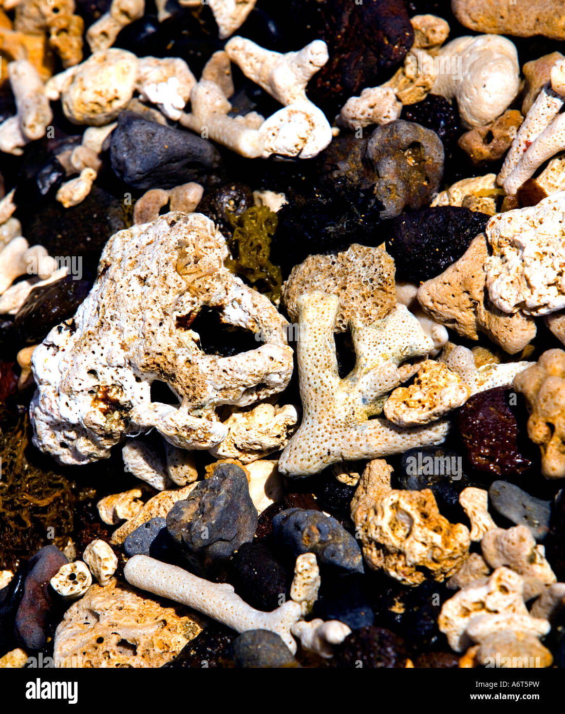 A variety of coral and volcanic rocks on this otherwise sandy beach in Rodrigues Stock Photo