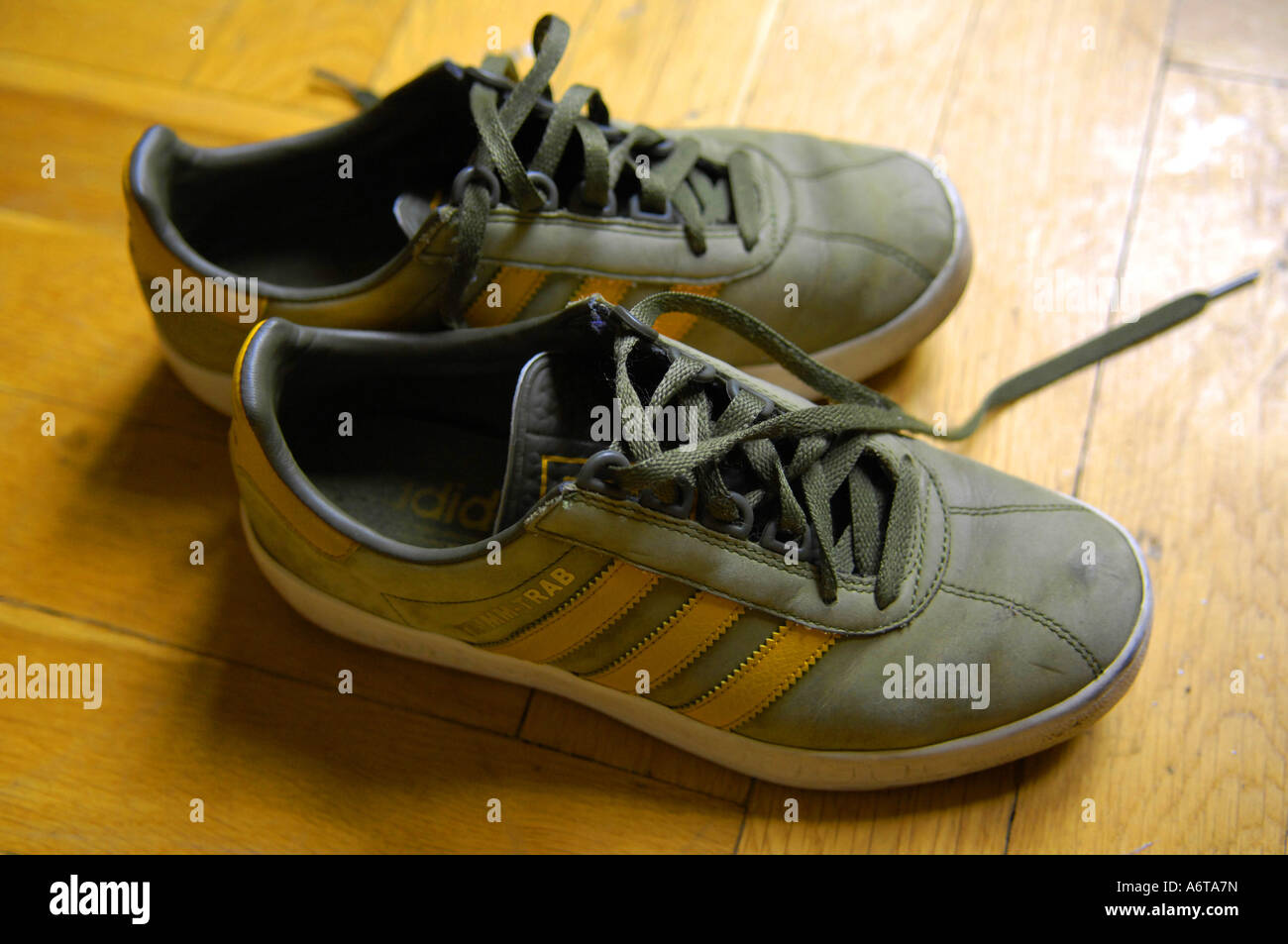 clima Acostumbrarse a oficial trimm trabb trim trab adidas sports retro shoes trainers training footwear  green wood wooden floor inside cool trendy fashionabl Stock Photo - Alamy
