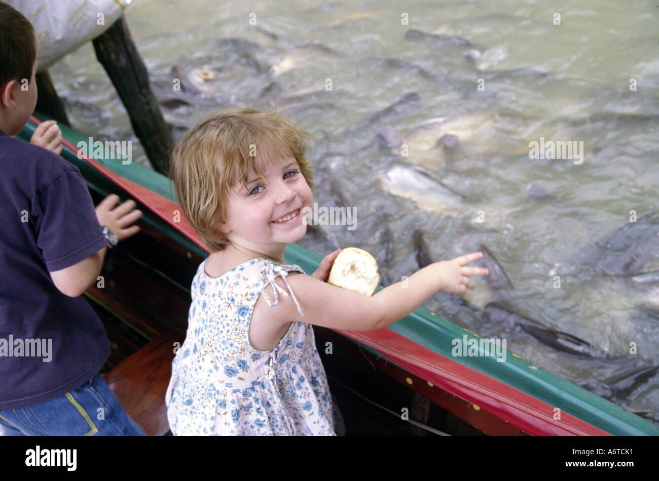 Catfish temple hires stock photography and images Alamy