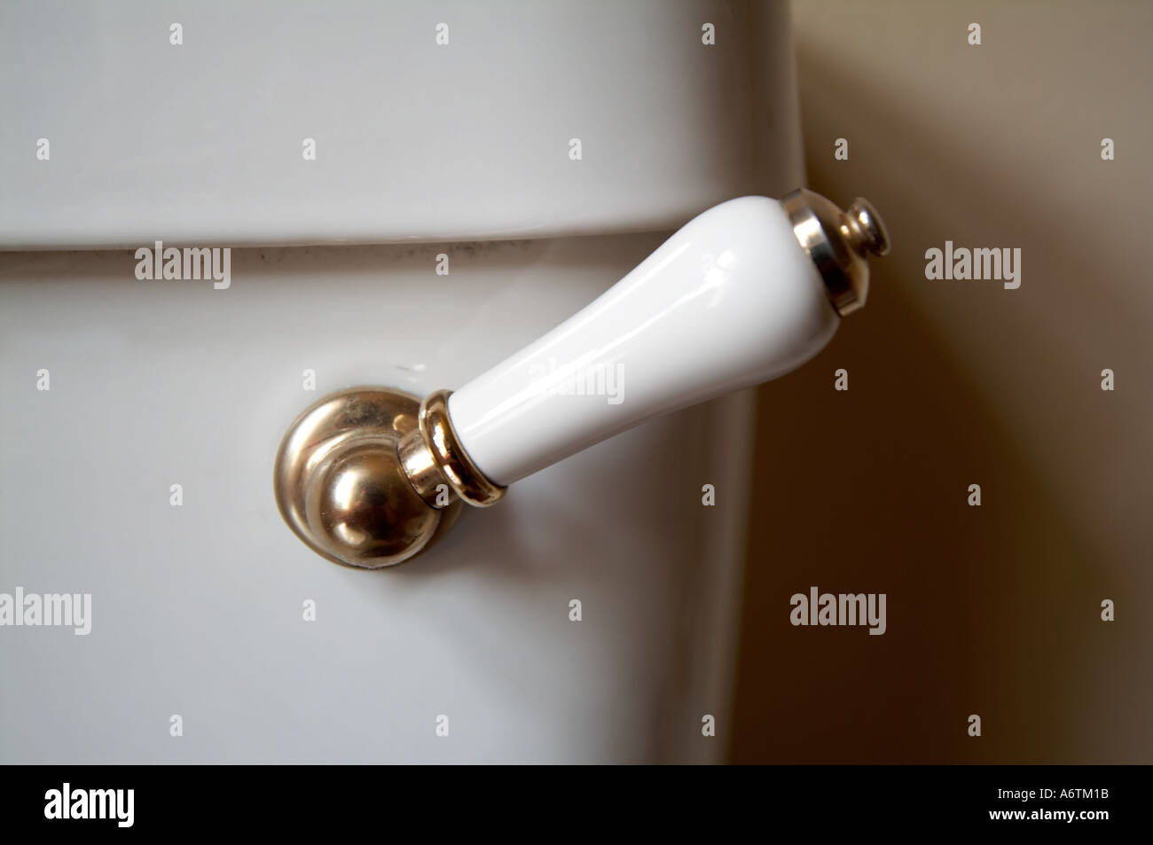 handle to flush toilet Stock Photo Alamy
