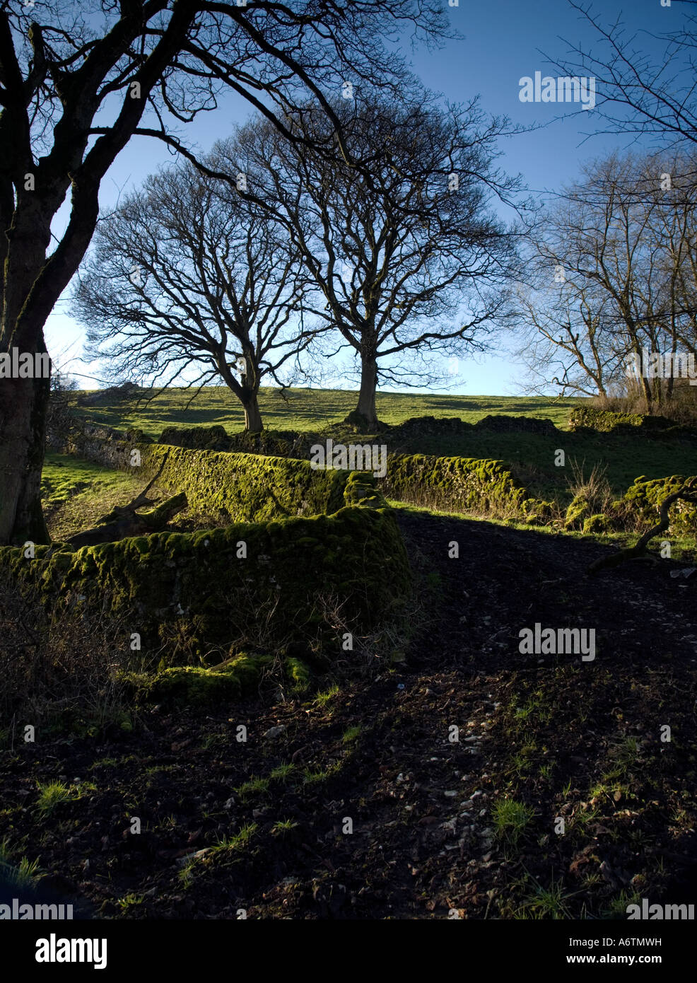 A country lane in the White Peak District National Park with sunlit