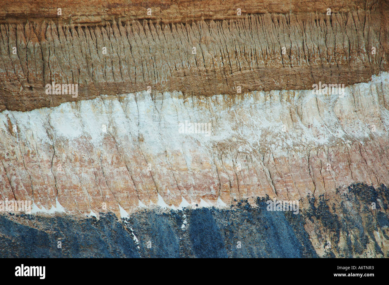 Soil Profile Chalk High Resolution Stock Photography and Images Alamy