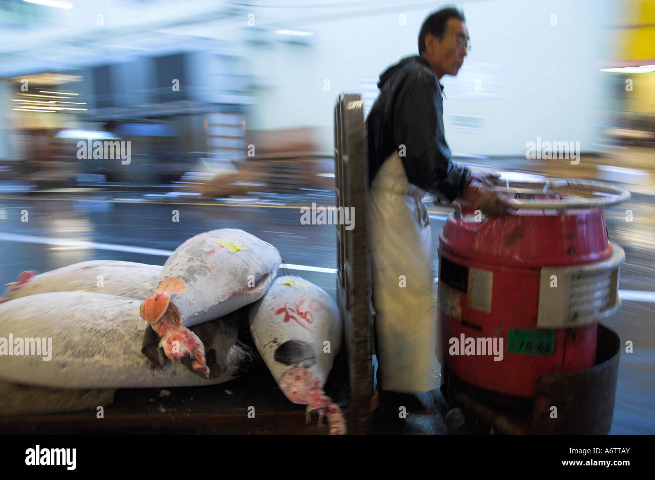 Japan Central Honshu Tokyo Tsukiji fish market tuna auction worker ...