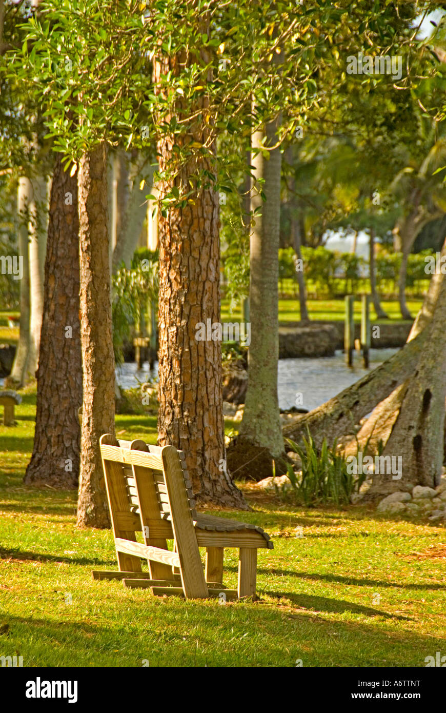Thomas Edison winter home estate Fort Myers Florida botanical garden with a  bench by the Caloosahatchee River Stock Photo
