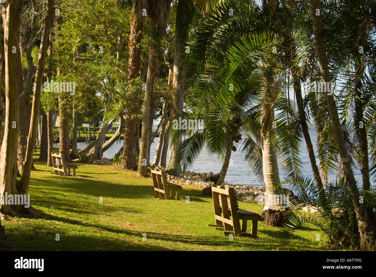 Thomas Edison winter home estate botanical gardens Fort Myers Florida benches by the Caloosahatchee river Stock Photo