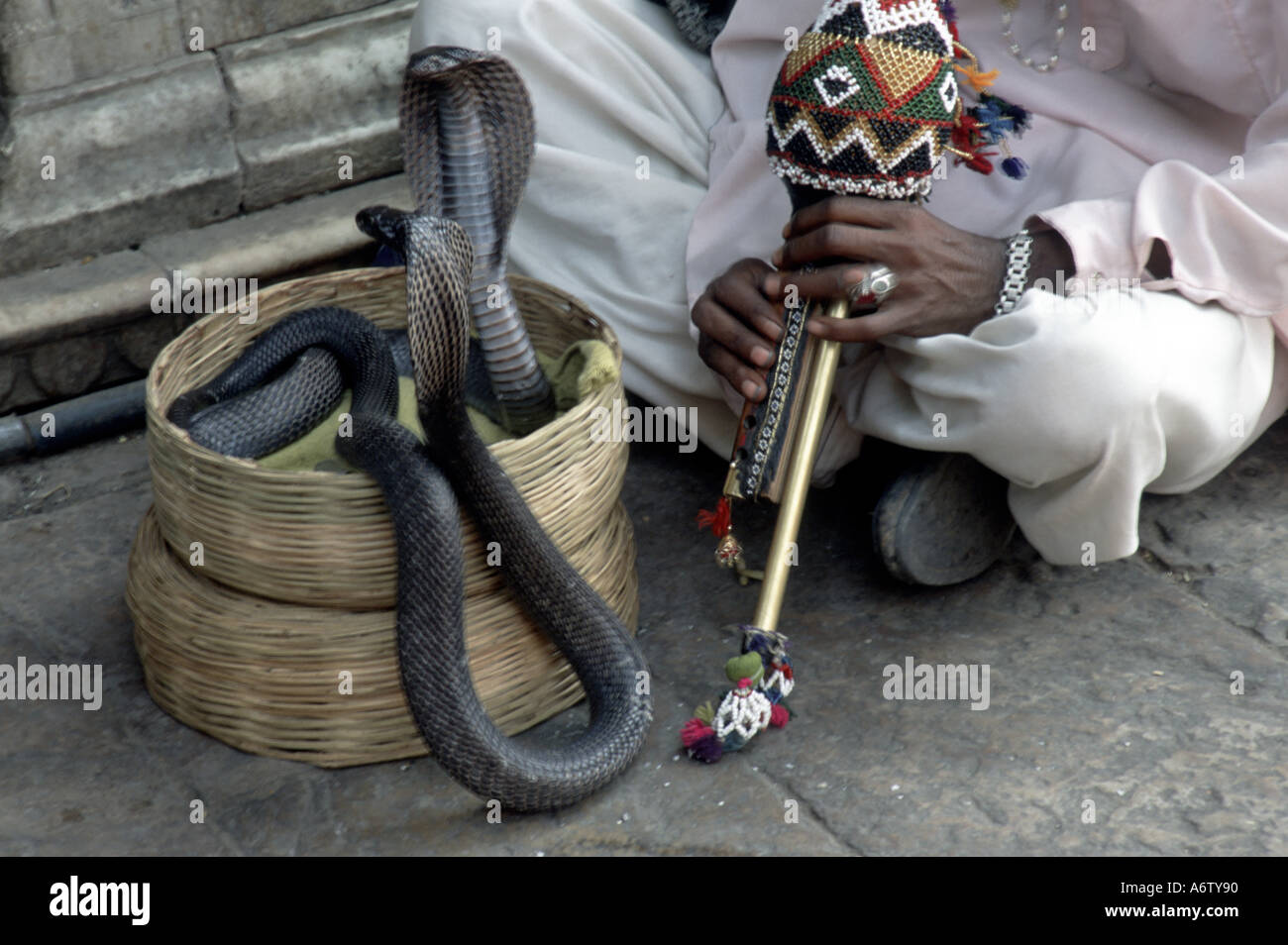 India, Rajasthan, Jaipur. Snake charmer Stock Photo - Alamy