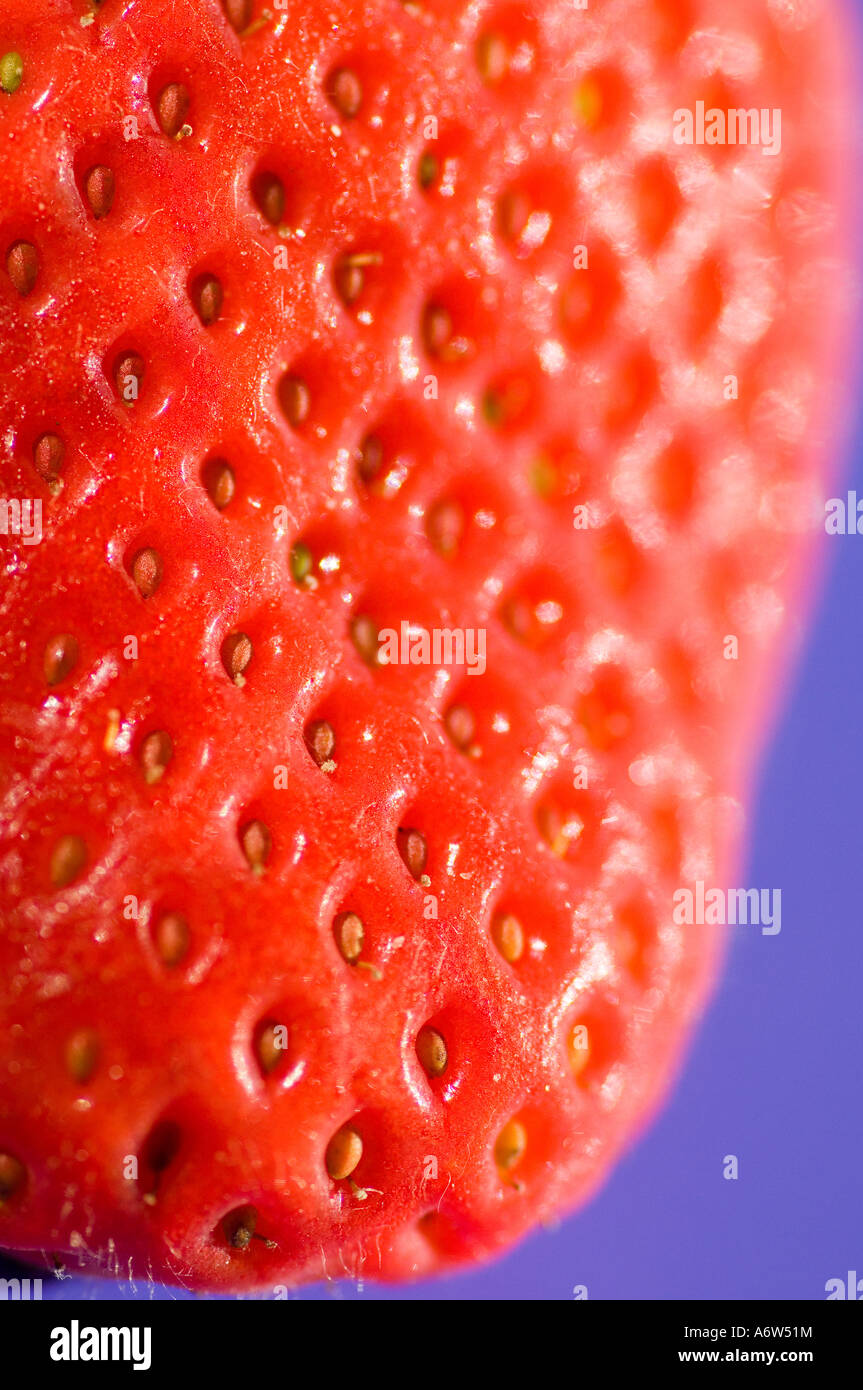 close up of a strawberry Stock Photo - Alamy