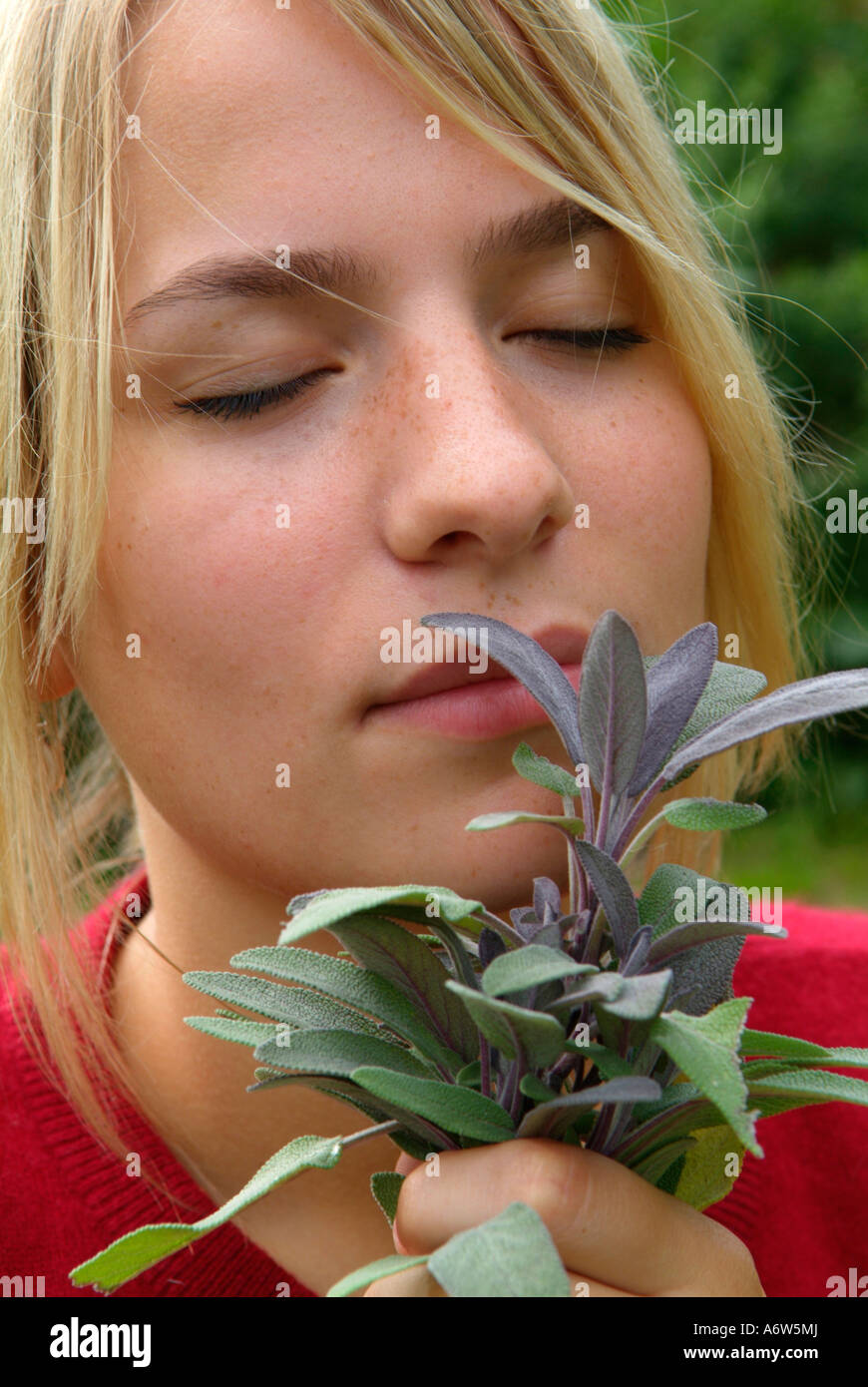 Young woman smelling on Sage Stock Photo