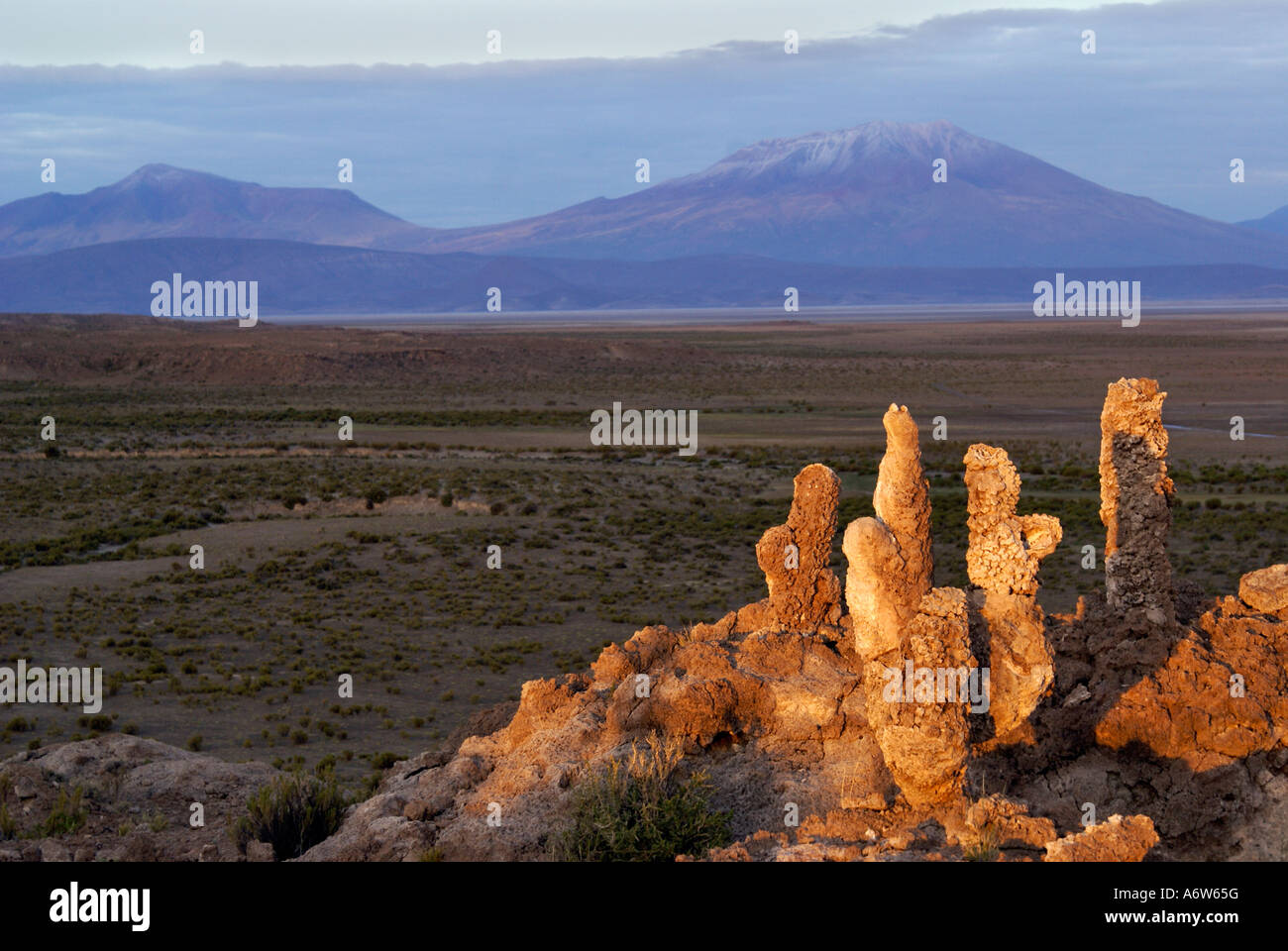 Fossilized corals in the shape of cactuses and vulcane, Uyuni Highlands, Bolivia Stock Photo