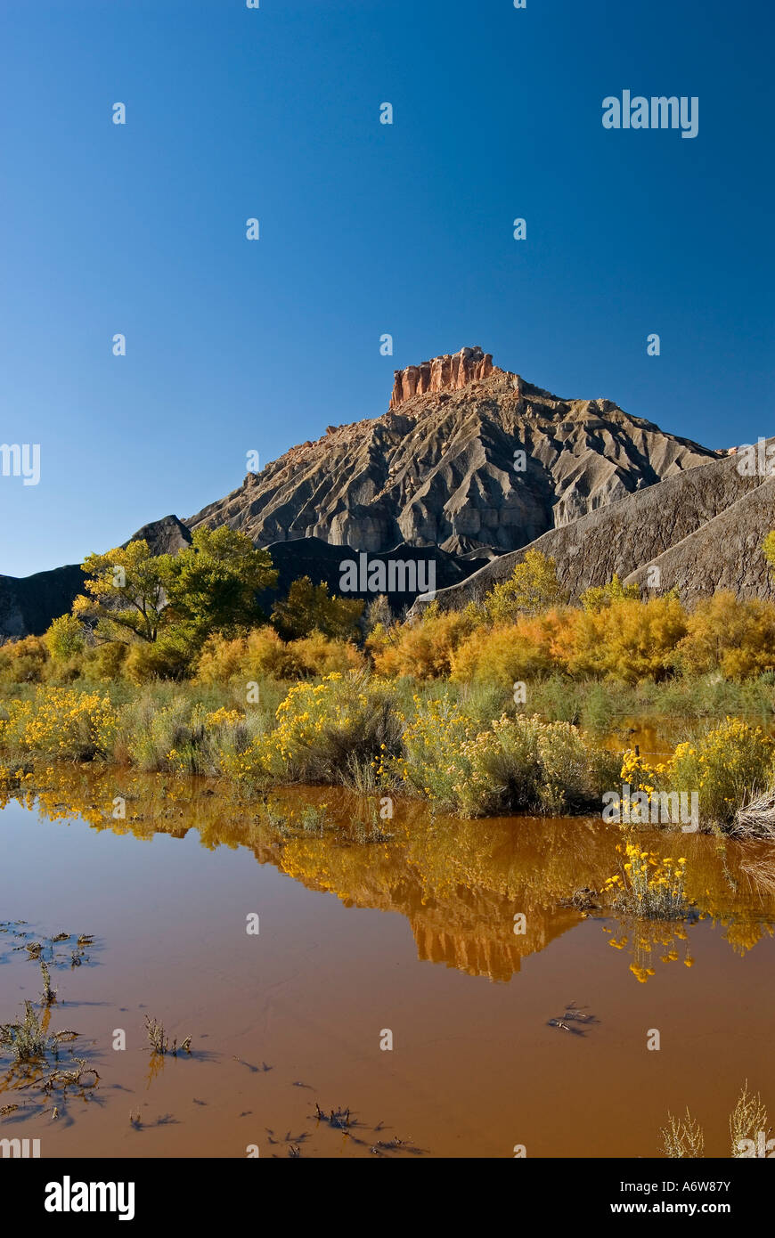 Reflection of North Cainville Mesa in rain puddle, Utah, US Stock Photo
