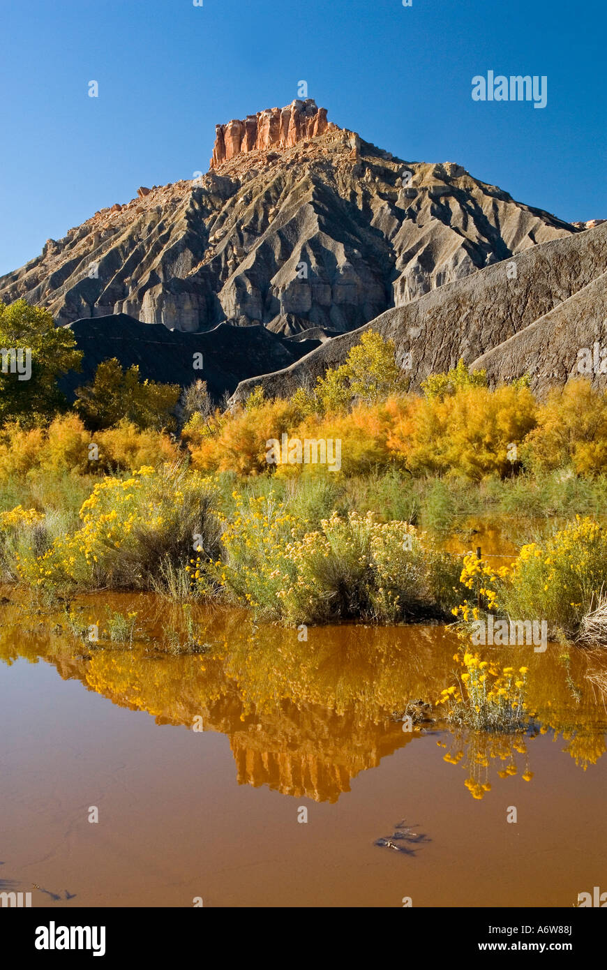 Reflection of North Cainville Mesa in rain puddle, Utah, USA Stock Photo