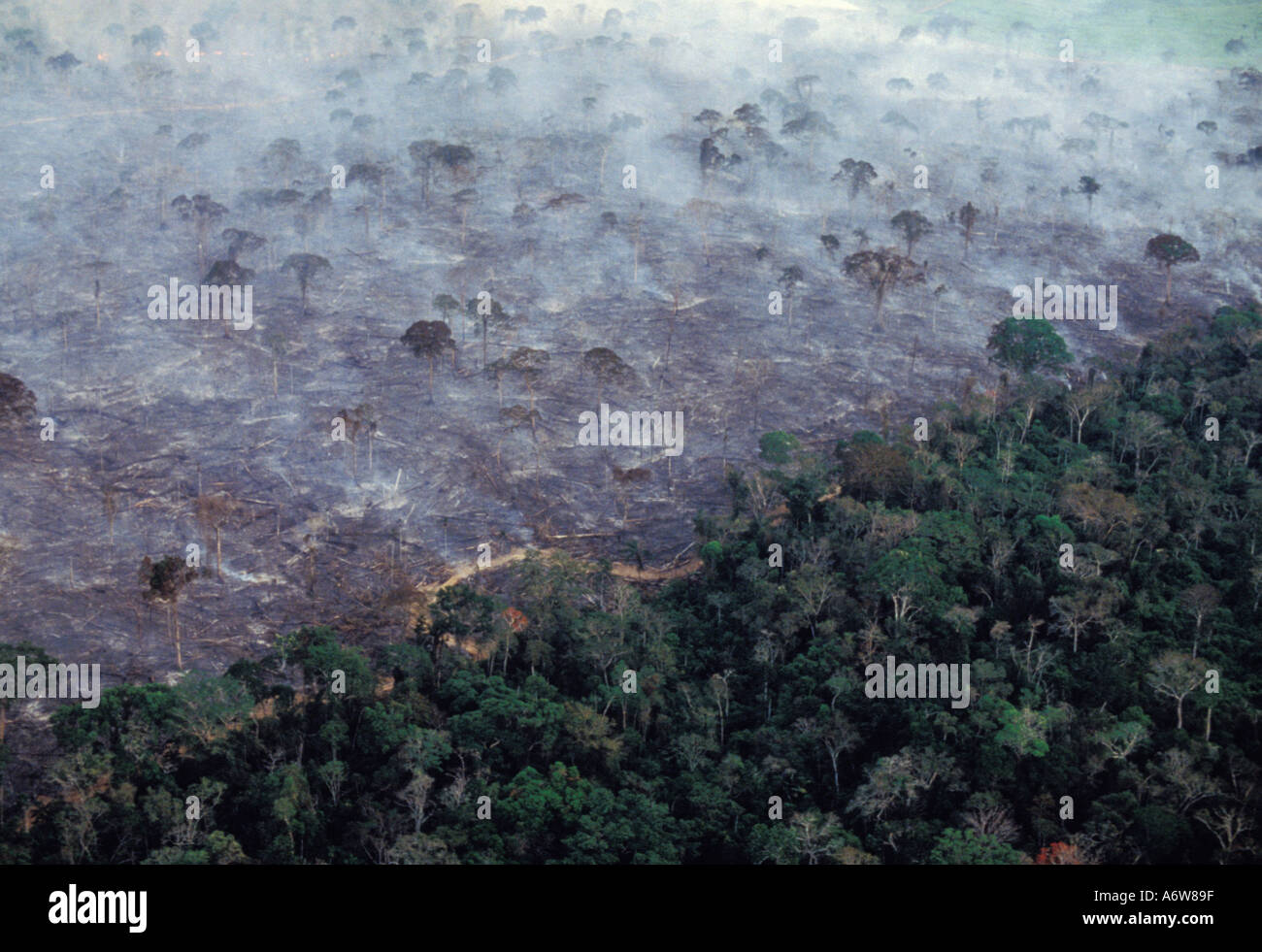 Amazon rain forest burn deforestation Acre State Brazil Stock Photo Alamy