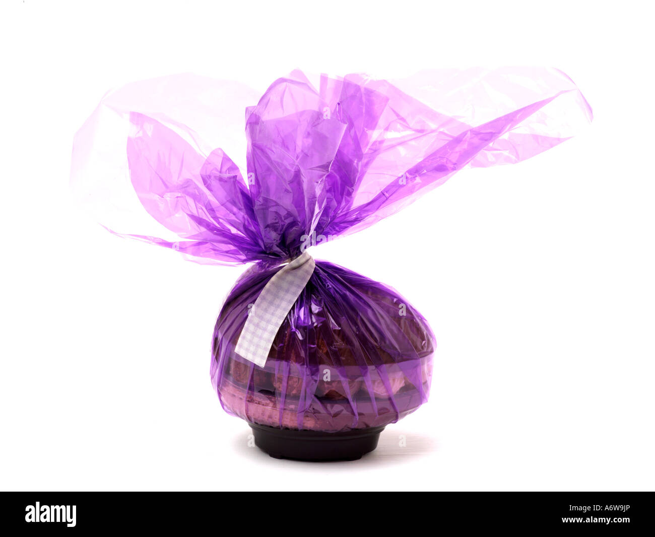 Chocolate Easter Egg wrapped in cellophane Stock Photo Alamy