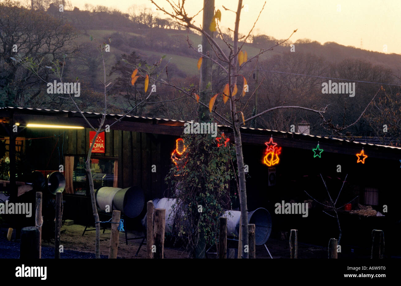 CHRISTMAS TREE FARM WRAPPING MACHINES Stock Photo - Alamy