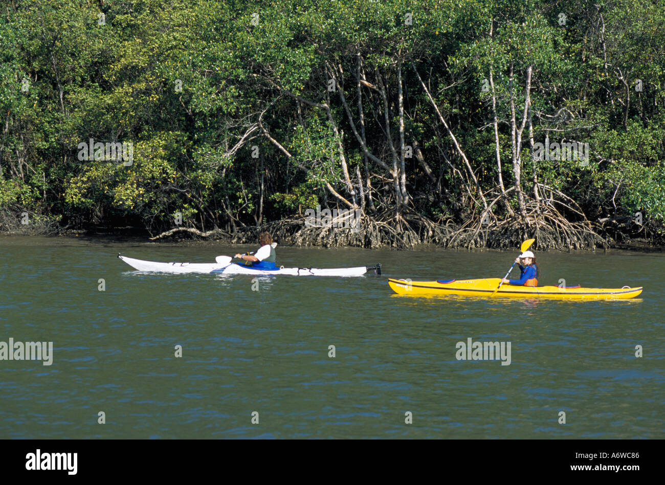 Sea kayaking Stock Photo