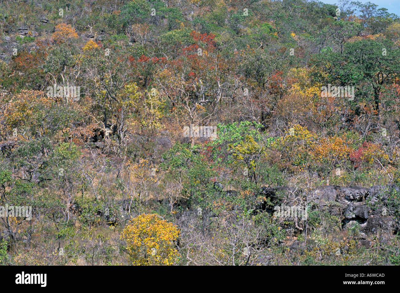 Pristine nature hi-res stock photography and images - Alamy