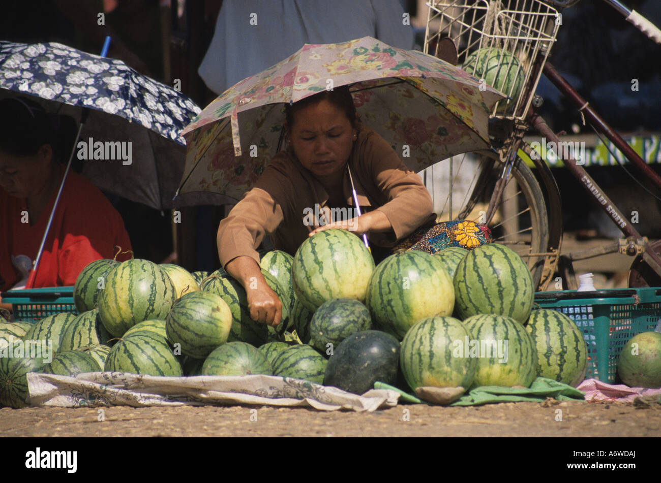 Local Market, Vang Vieng, Laos Stock Photo - Alamy