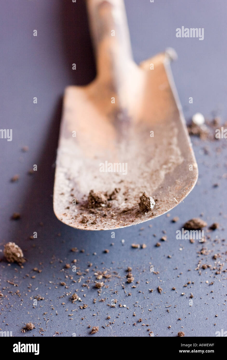 Spade or shovel hi-res stock photography and images - Alamy