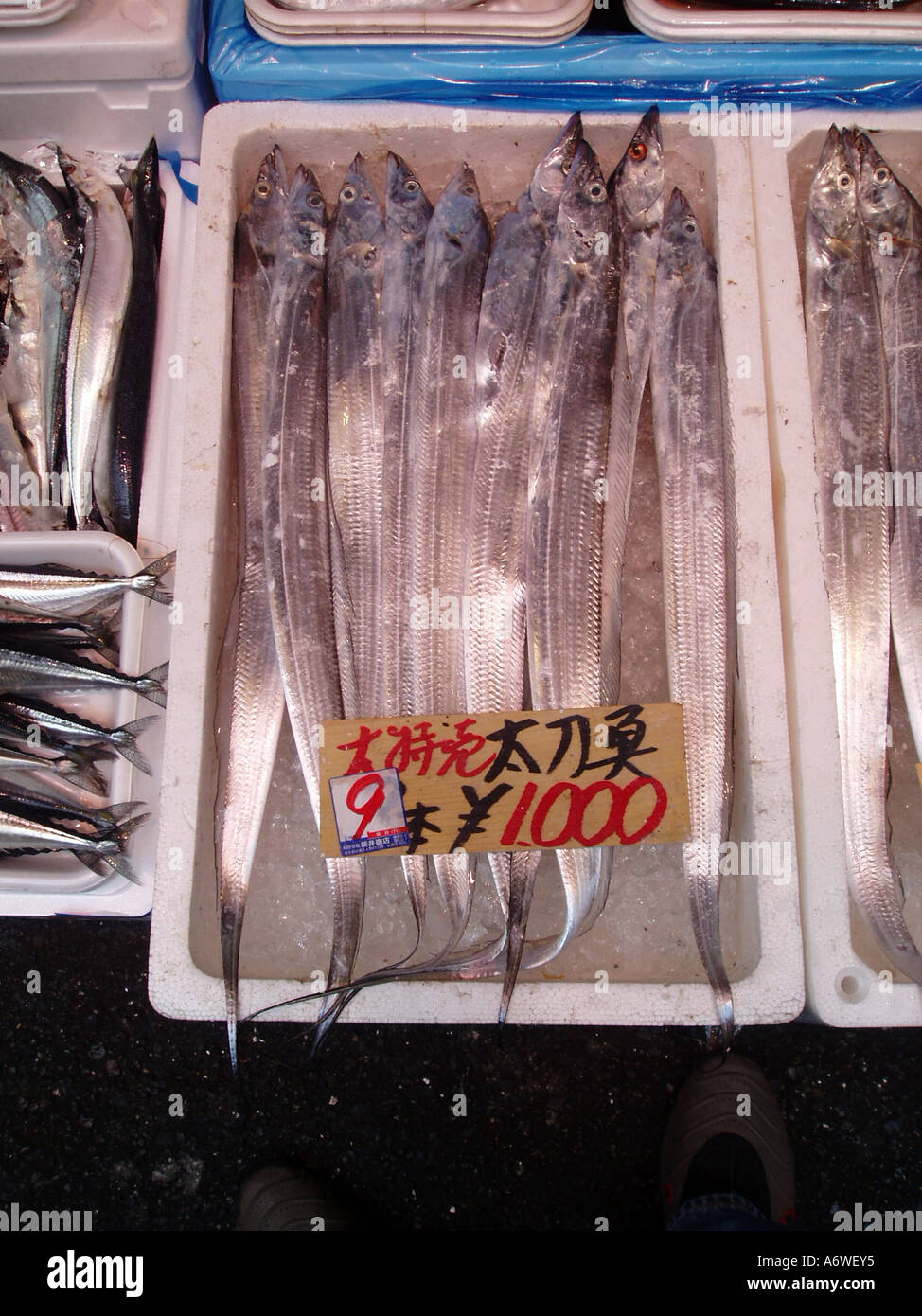 Fish in a Japanese fish market Stock Photo Alamy