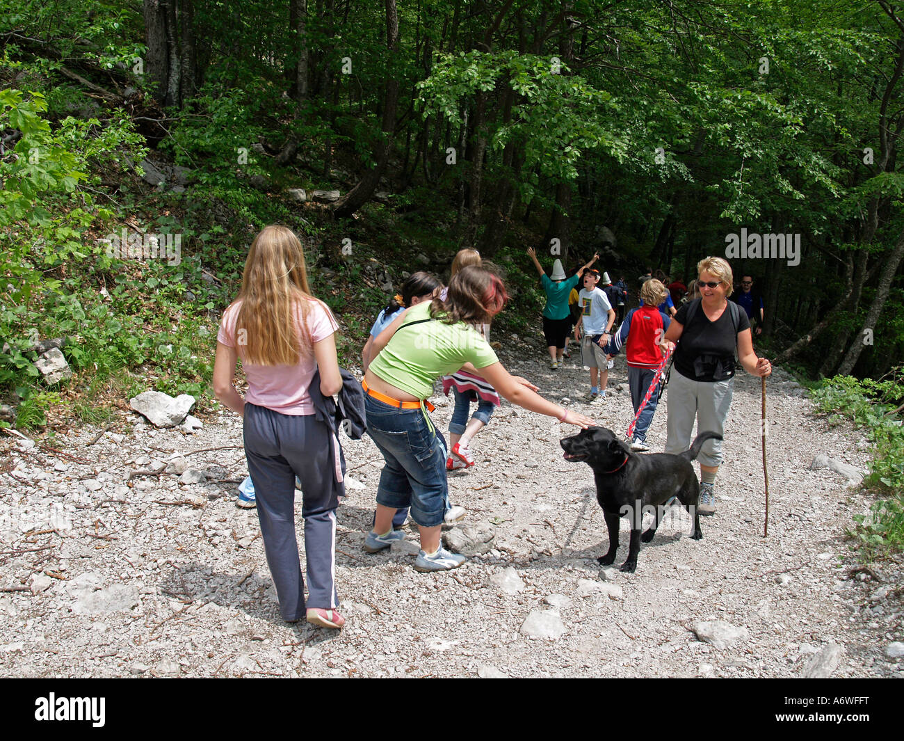kids hiking in mountains meeting big black dog Stock Photo - Alamy