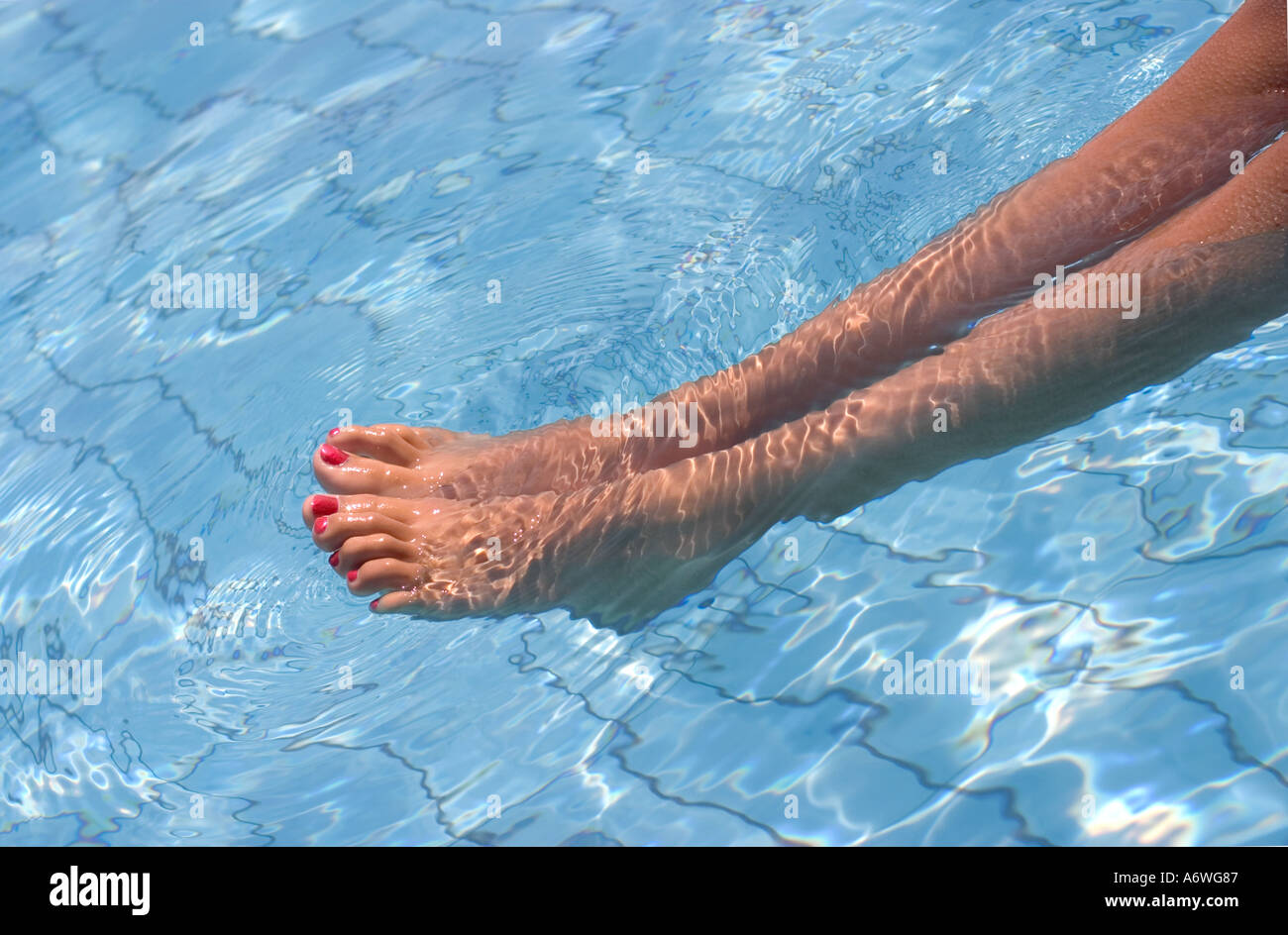 Legs of Teenage Girl Floating in Swimming Pool El Quesir Egypt Stock Photo Alamy