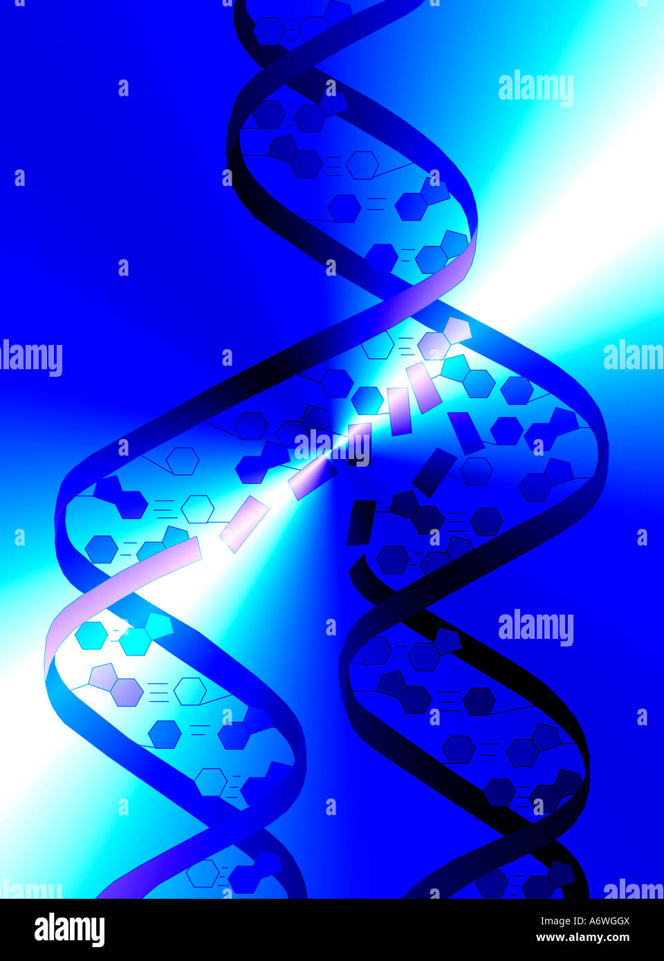 DNA double helix Stock Photo