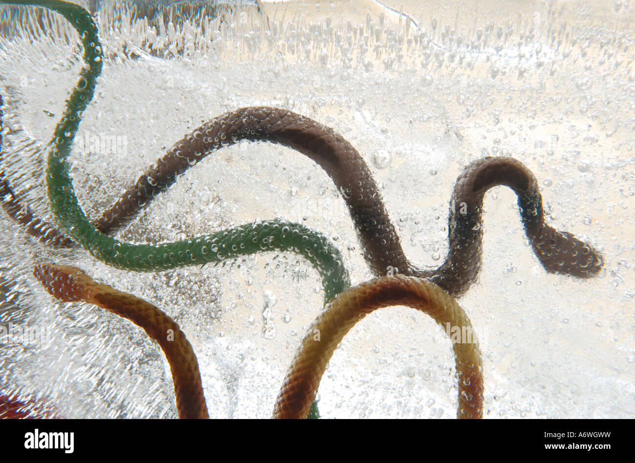 Toy snakes hi-res stock photography and images - Alamy