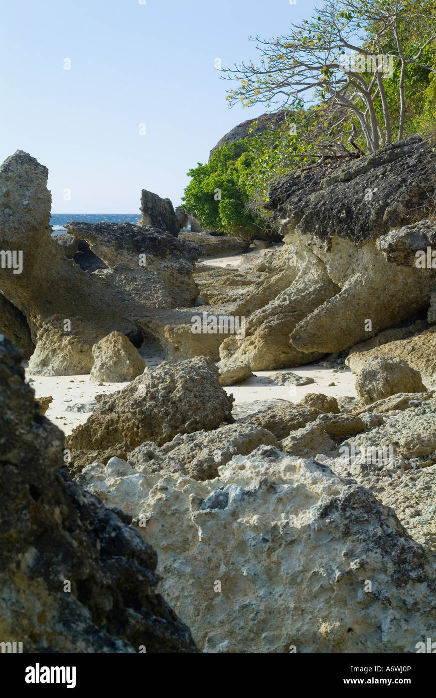 lava rock on the beach Stock Photo - Alamy