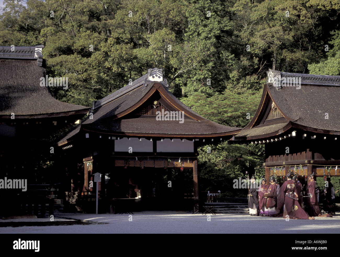 japanese kami shrine shambhala mountain center