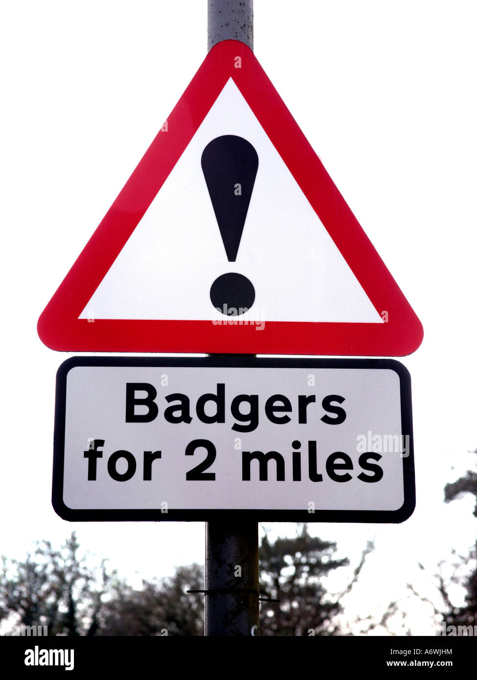 Badgers road sign Stock Photo Alamy