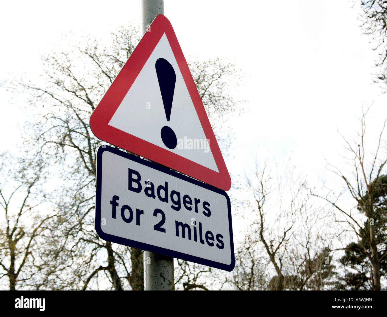 Badgers road sign Stock Photo Alamy