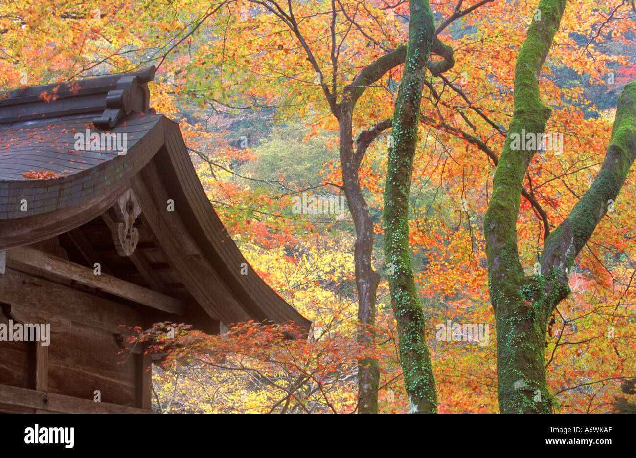 Kibune Shrine, Ohara, Kyoto, Japan Stock Photo