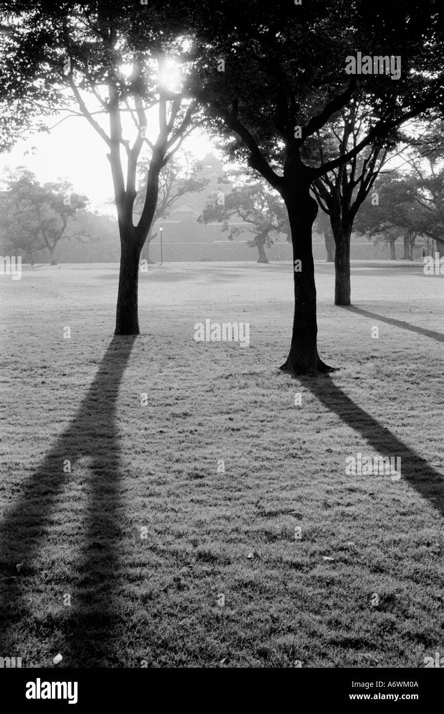 Asia, Japan, Kumamoto. Sunrise over Kumamoto, jo Castle Stock Photo