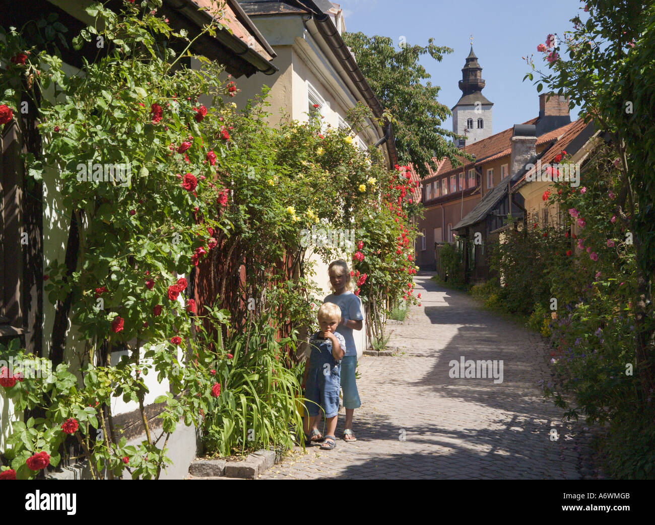 Cobbled lane and Houses Visby Gotland Sweden Stock Photo