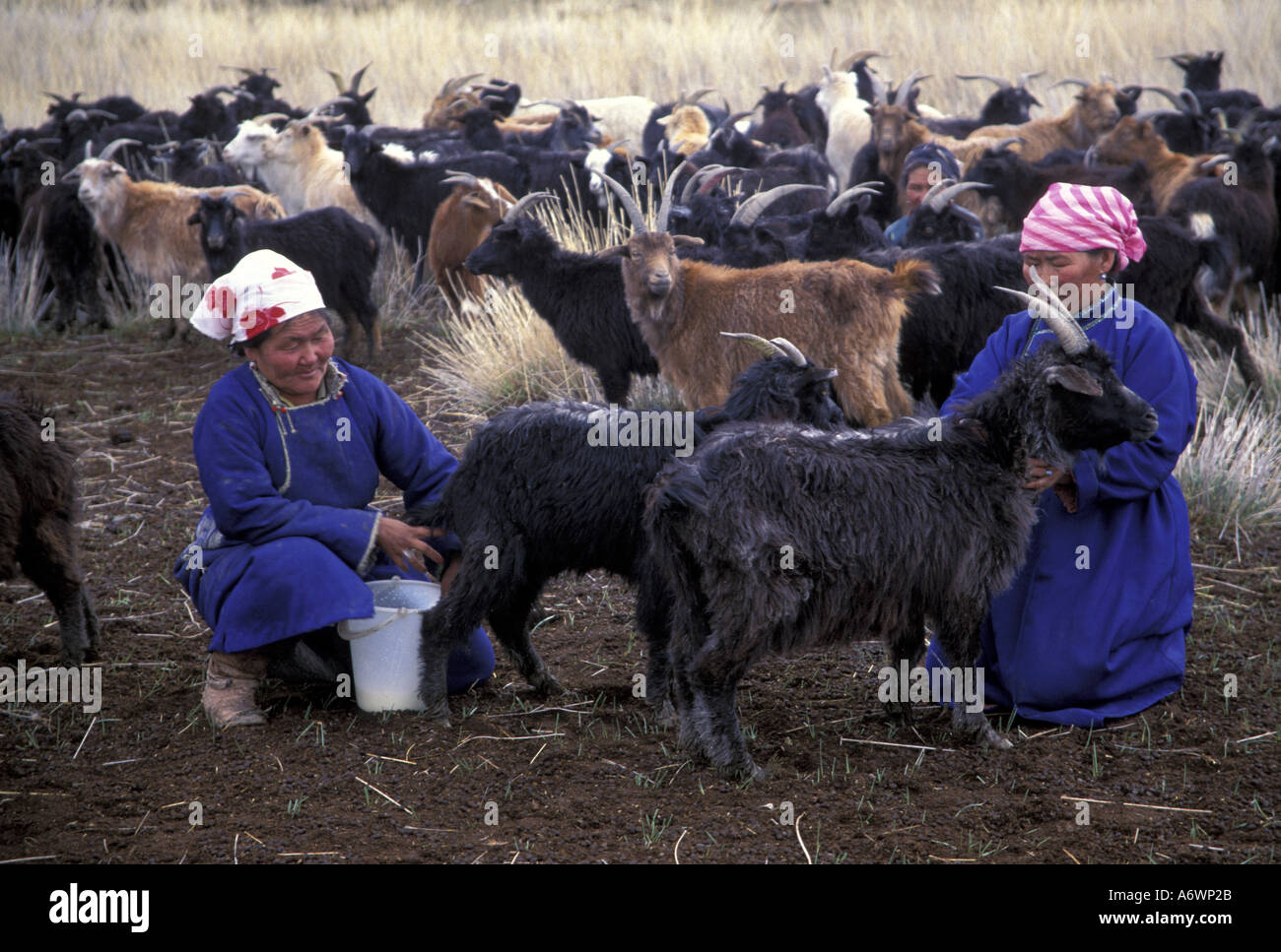 Asia, Mongol, Altai Mountains, Hovd Region. Mongolian herders Stock ...