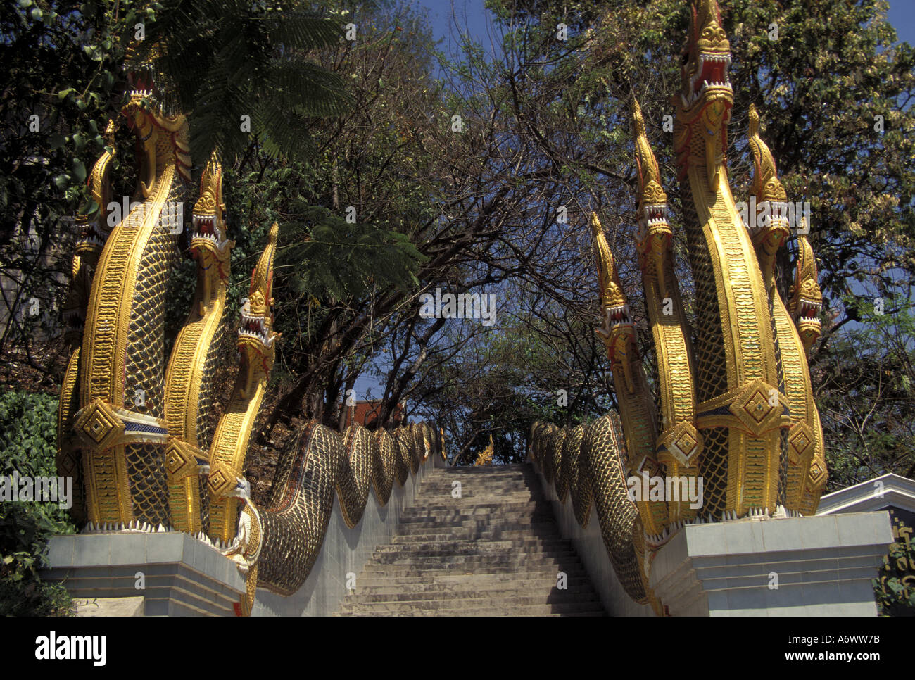 Thailand, Chiang Mai. Dragon/ serpent stairway at Wat Doi Suthep. Stock Photo