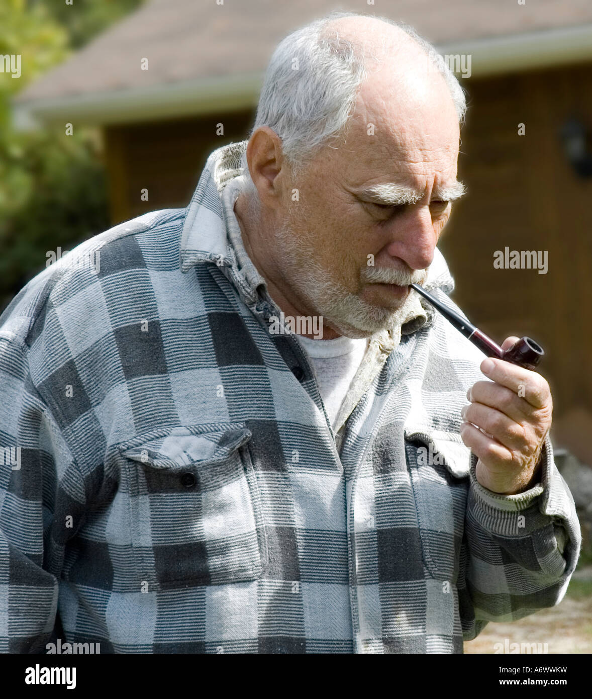 how much does tobacco increase testosterone Effects of nicotine, crocin, and crocin+nicotine on testosterone levels...