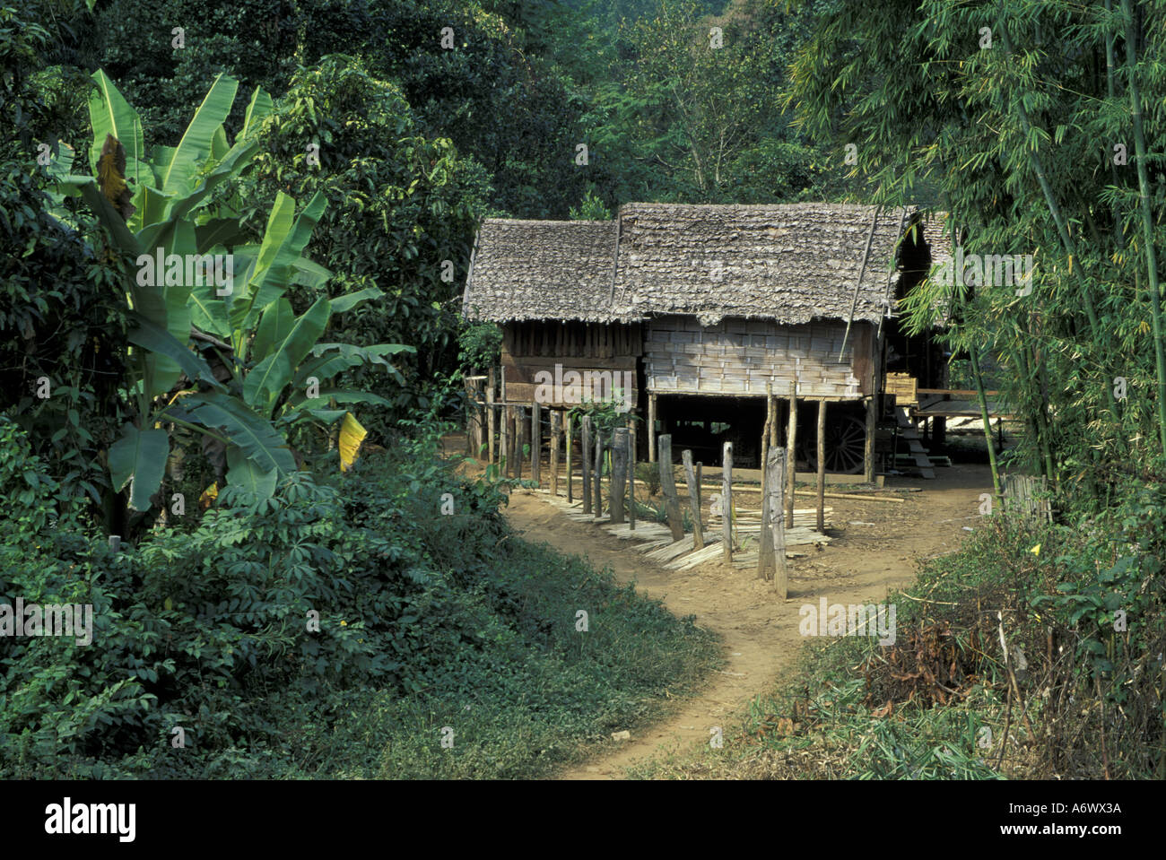 Asia, Thailand, Northern Thailand, Lahu hill tribe village, Bamboo