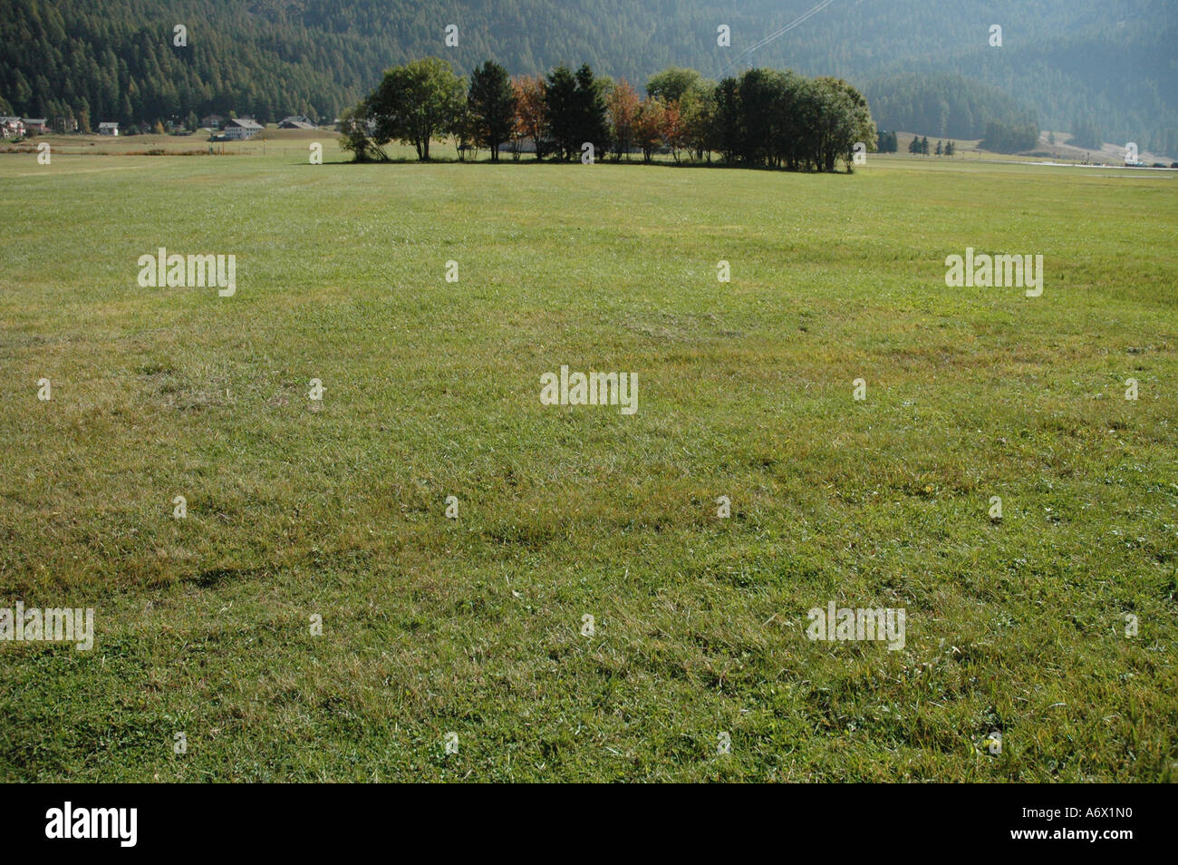 Alpen Alps Bäume trees Dorf village Wiese meadow grassland Stock Photo ...