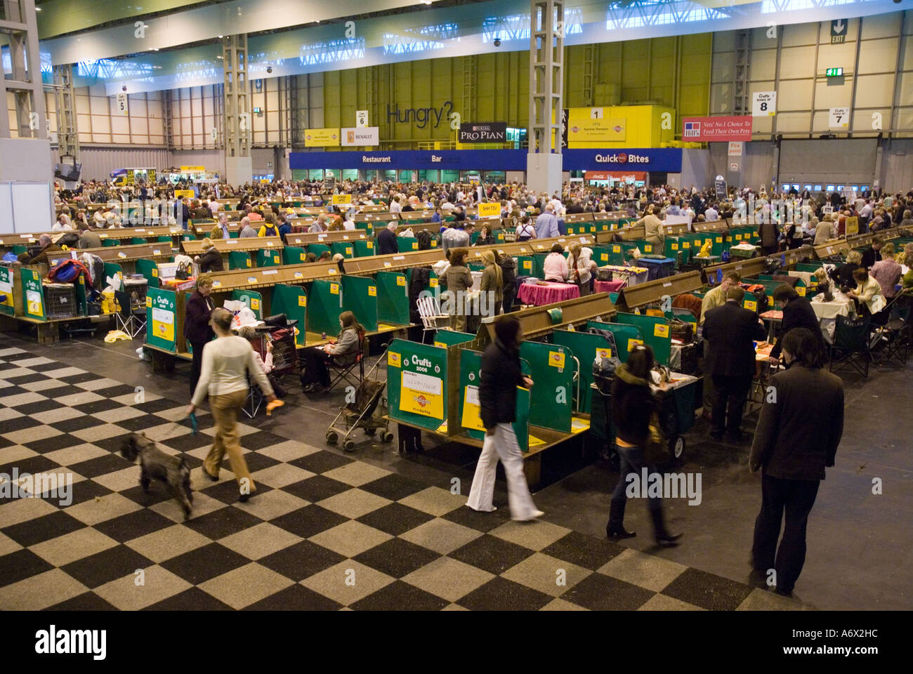 Crufts at the NEC Stock Photo